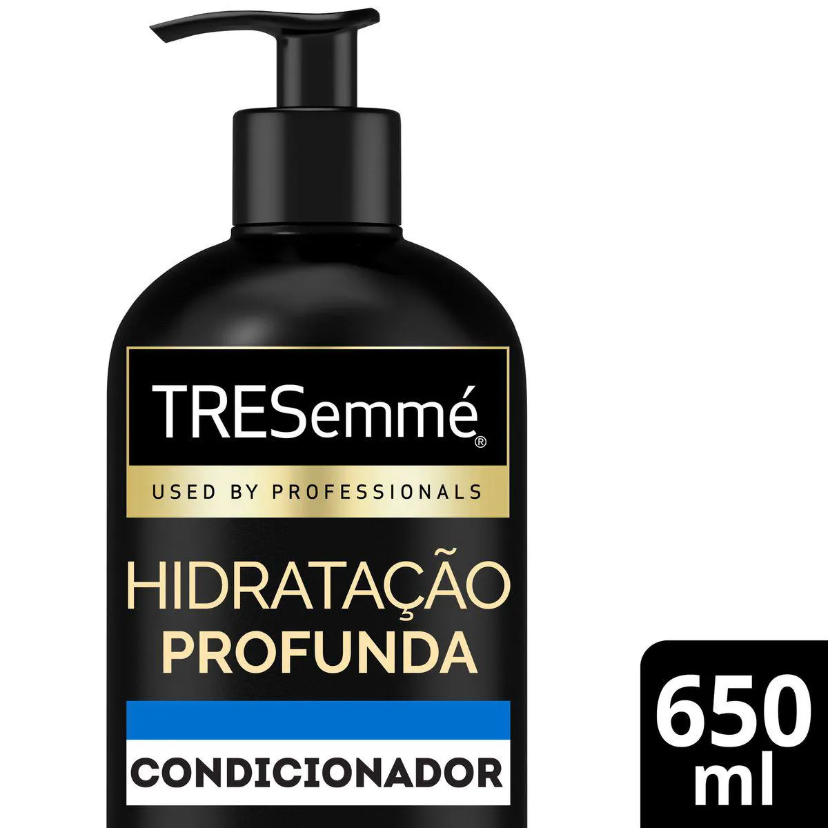 13661738.webp